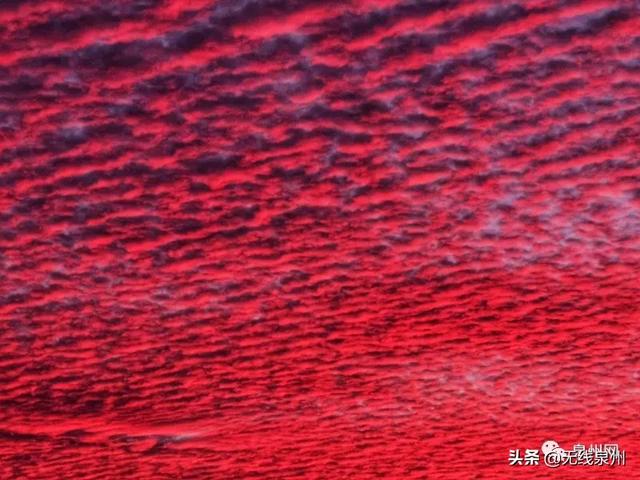 惊艳!满天“鱼鳞云”刷屏泉州人的朋友圈!真的跟地震有关吗?