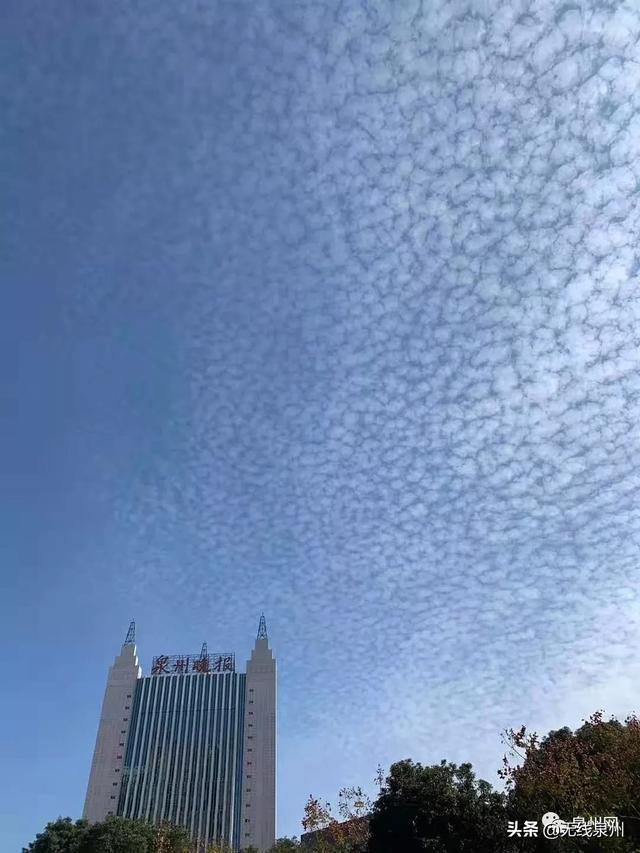 惊艳!满天“鱼鳞云”刷屏泉州人的朋友圈!真的跟地震有关吗?