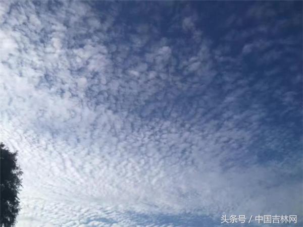 刷爆朋友圈的是“地震云”?NO!它叫“透光高积云”