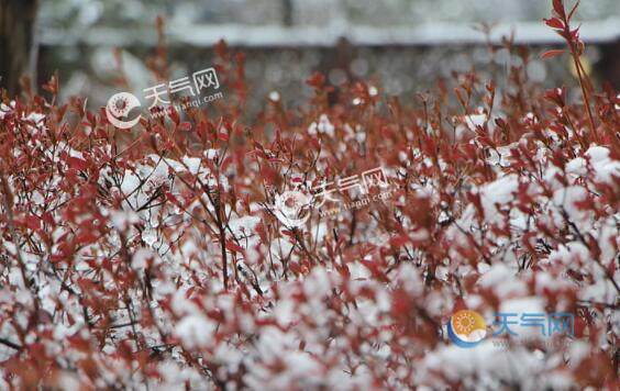 二十四节气小雪知识 小雪节气应该注意些什么