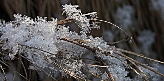 二十四节气小雪知识 小雪节气应该注意些什么