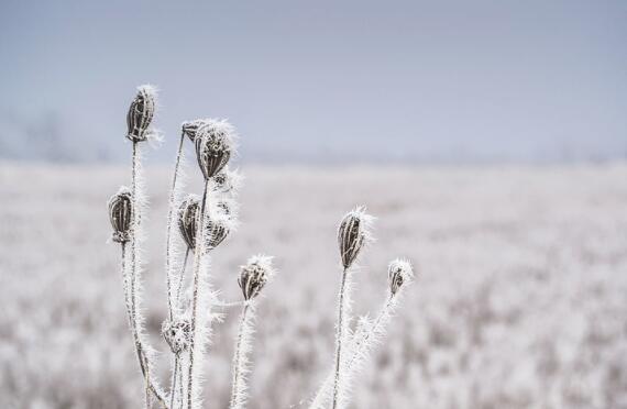 二十四节气小雪知识 小雪节气应该注意些什么