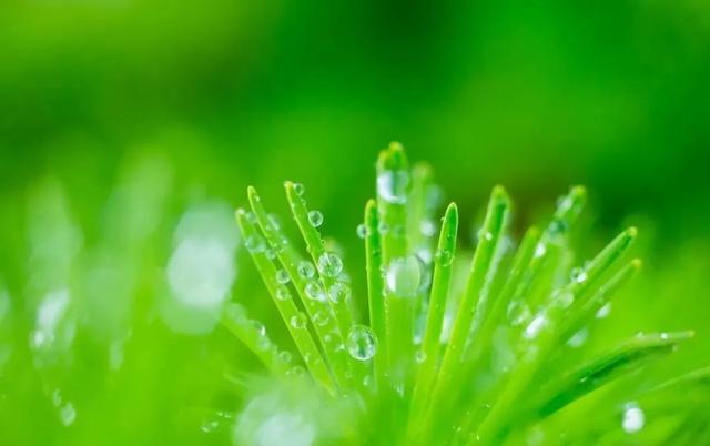 「鹰城微天气」天气有变，注意防范哦