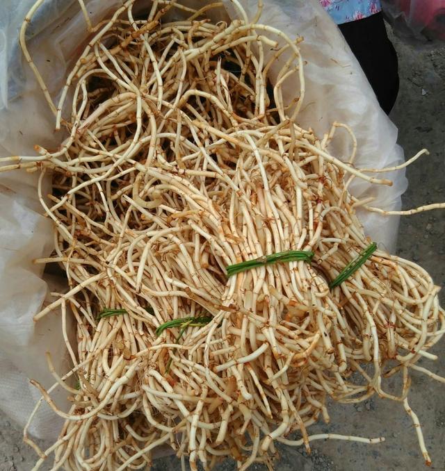 「食疗药膳」“抗冠肺”期间的饮食四要之三:菜餚