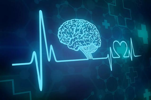 为什么秋冬季易诱发心脑血管疾病?如何应对、预防