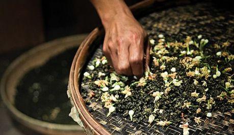 幽门螺杆菌很怕3种食物,搭配吃,坚持10天,老胃病“一扫光”