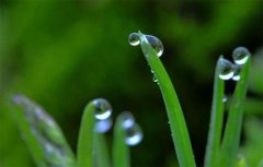 降雨增多，湿气加重，此