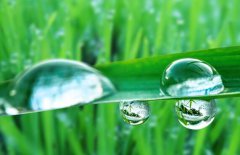 白露节气谚语 二十四节气