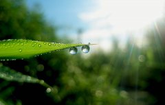 白露过后还热吗 白露的气
