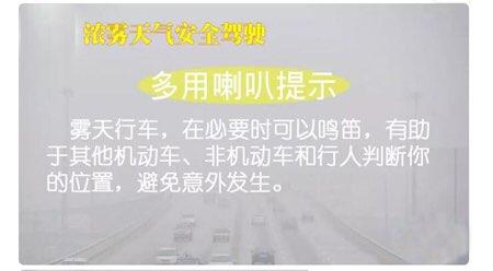淄博公安交警发布浓雾天气安全驾驶常识 这份攻略请收好