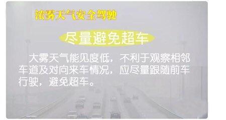 淄博公安交警发布浓雾天气安全驾驶常识 这份攻略请收好