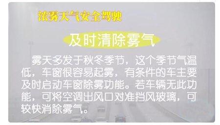 淄博公安交警发布浓雾天气安全驾驶常识 这份攻略请收好