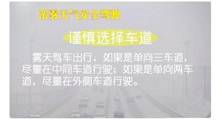 淄博公安交警发布浓雾天气安全驾驶常识 这份攻略请收好