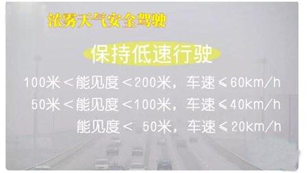 淄博公安交警发布浓雾天气安全驾驶常识 这份攻略请收好