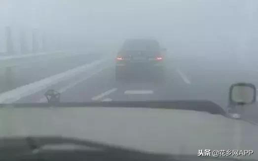 大雾天气出行该注意什么?这里全都有,一定要记住!