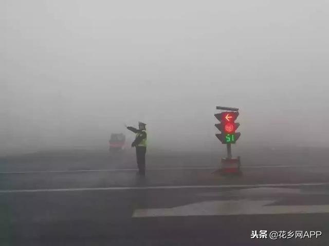 大雾天气出行该注意什么?这里全都有,一定要记住!
