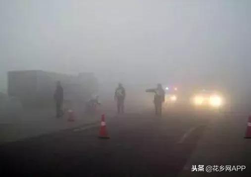 大雾天气出行该注意什么?这里全都有,一定要记住!