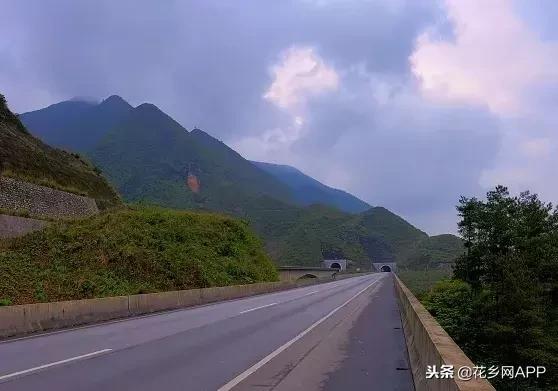 大雾天气出行该注意什么?这里全都有,一定要记住!