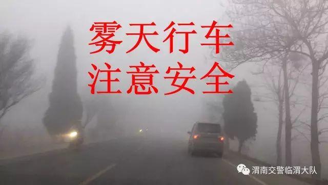 【交警提示】大雾天开车 注意事项你知道吗~