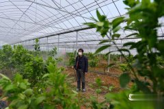江西瑞昌市在防控疫情的