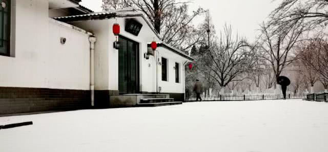 上海21℃!北京下雪“美”上热搜,看看美图,感受下真正的冬天
