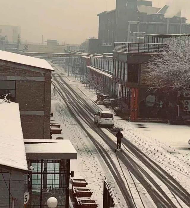 上海21℃！北京下雪“美”上热搜，看看美图，感受下真正的冬天