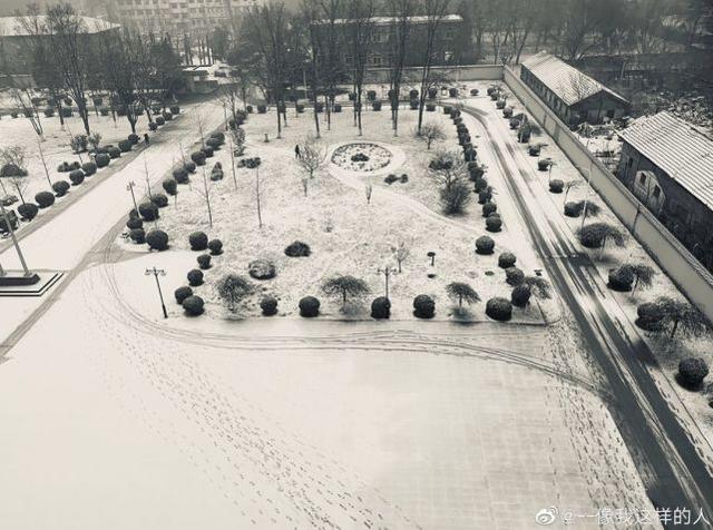 上海21℃!北京下雪“美”上热搜,看看美图,感受下真正的冬天