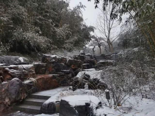 上海21℃!北京下雪“美”上热搜,看看美图,感受下真正的冬天