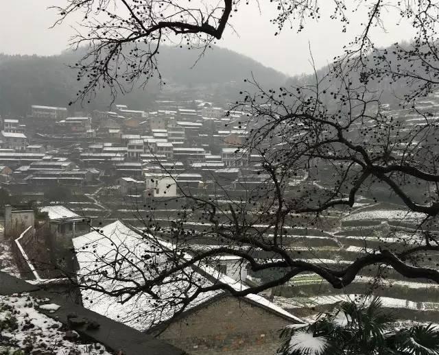 天气｜下雪啦！梅岭2月春雪美图来袭~各位回家穿秋裤啊