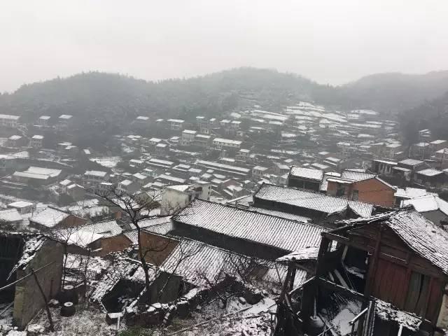 天气｜下雪啦！梅岭2月春雪美图来袭~各位回家穿秋裤啊