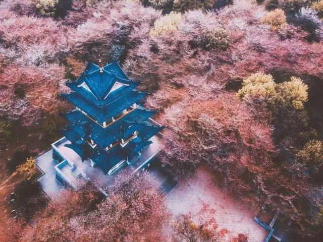 原来我们生活的地方这么美!30张图片告诉你,春天有多惊艳!