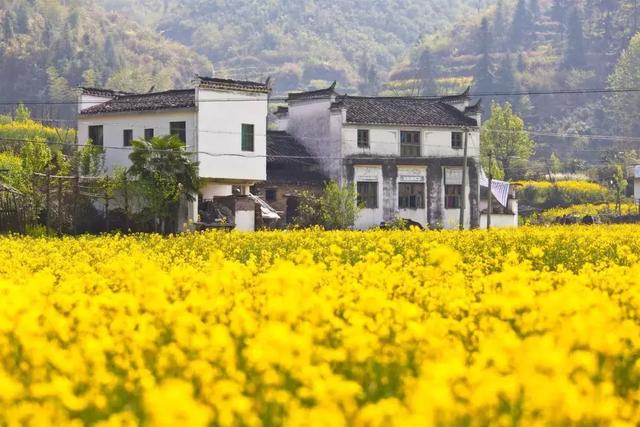 原来我们生活的地方这么美!30张图片告诉你,春天有多惊艳!