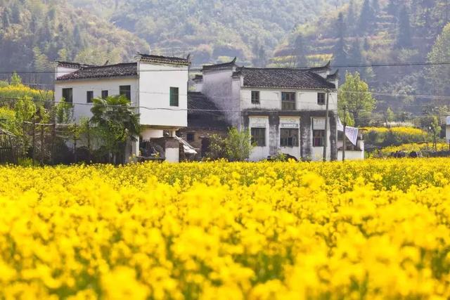 原来我们生活的地方这么美！30张图片告诉你，春天有多惊艳！