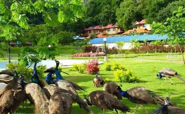 史上最全云南旅游攻略,看完就去实现你的云南梦吧
