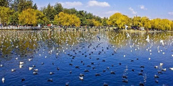 史上最全云南旅游攻略,看完就去实现你的云南梦吧