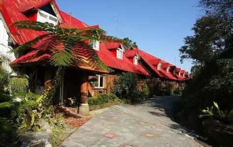 史上最全云南旅游攻略,看完就去实现你的云南梦吧