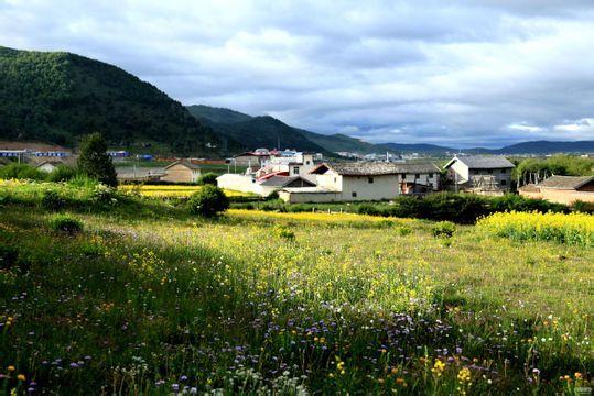 史上最全云南旅游攻略,看完就去实现你的云南梦吧