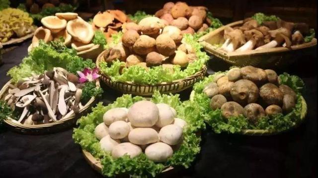 疫情过后的春城昆明,将会是这样的,你来吗?