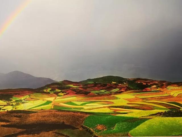 疫情过后的春城昆明,将会是这样的,你来吗?