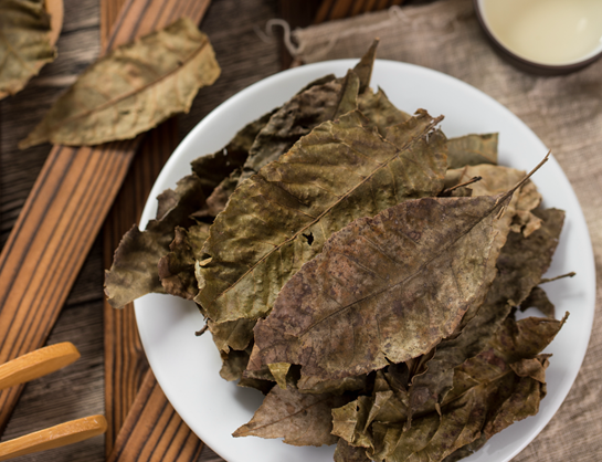 青钱柳茶的功效与作用 青钱柳茶能降血糖吗