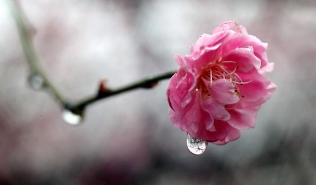 摄影技巧：阴雨天气摄影口诀