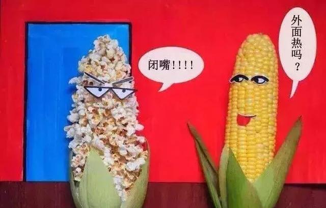 阳春气温近30℃?!“降雨+降温+大风”即将来袭...