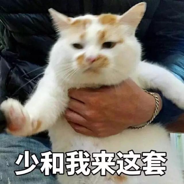 注意!首个寒潮预警发布!阳春气温有所下降