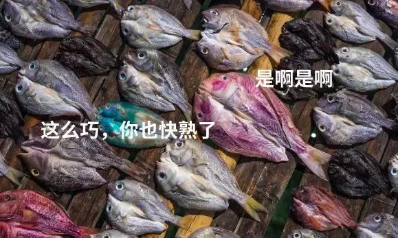 又有台风要来?阳春雷雨大风黄色预警,未来几天都是雨雨雨...