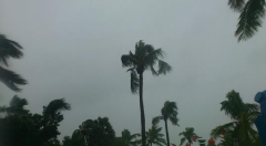 台风天要注意什么
