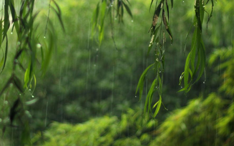 梅雨季节对装修的影响1