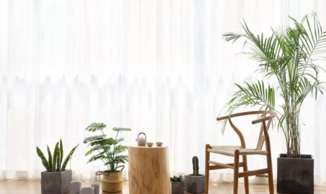 把新房装修成日式极简风,婆婆却抱怨“家徒四壁”,美哭了好吗!