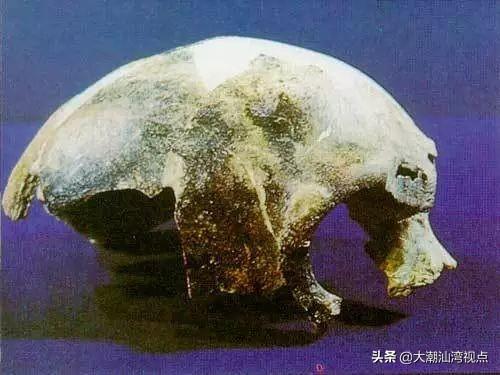 广东历史文化知多少,读懂了才是真老广