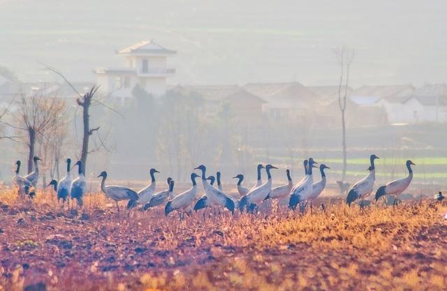 适合一个人去的18个地方,2020年欠自己的旅行,就这样安排吧