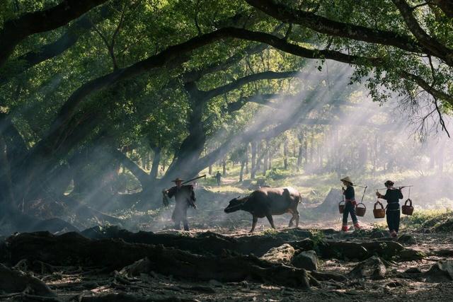 适合一个人去的18个地方,2020年欠自己的旅行,就这样安排吧